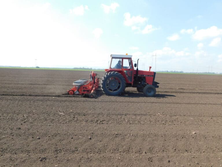 Soy-SowingField-IFVC-April-2019-cb7cb483