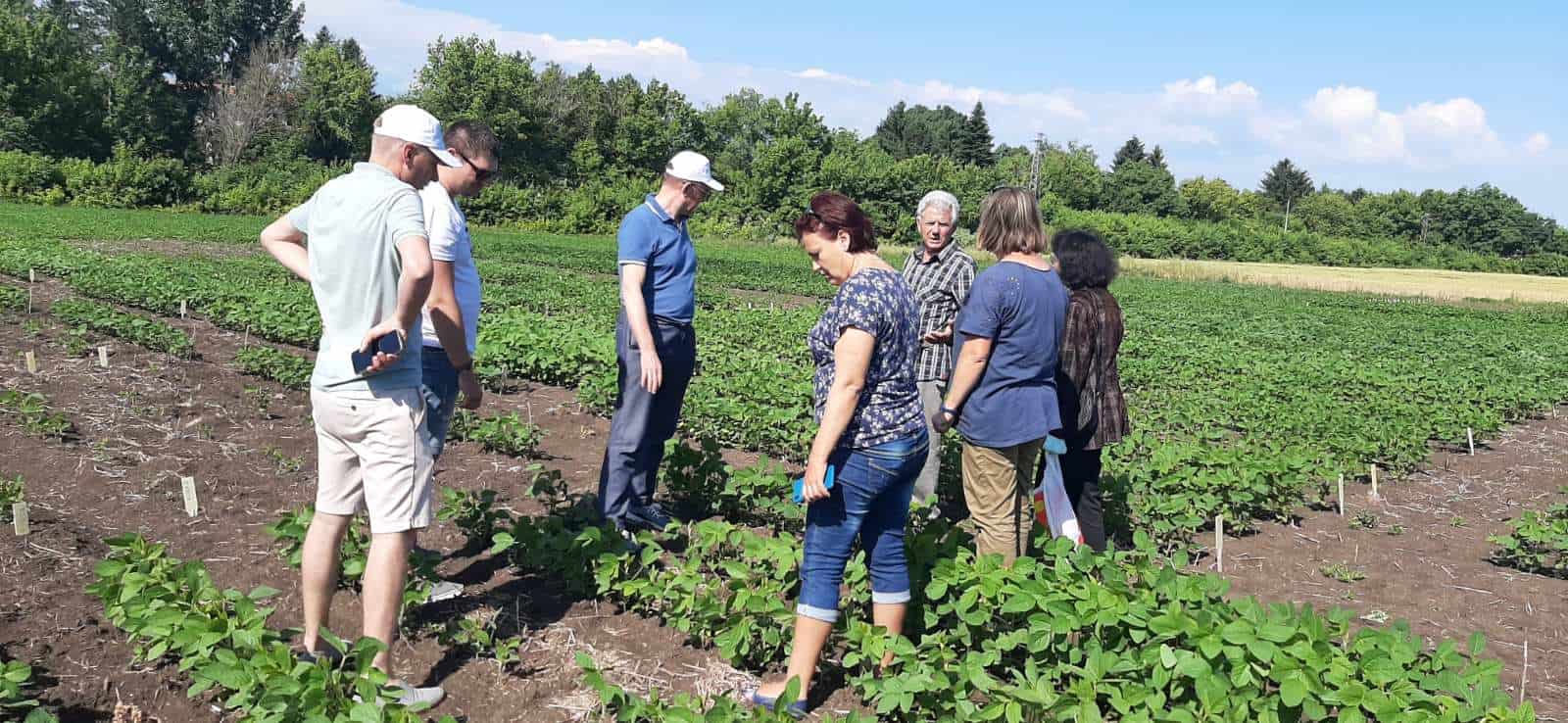 World Soybean Research Conference 11