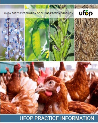 thumbnail_ufop_poultry-632e99e5