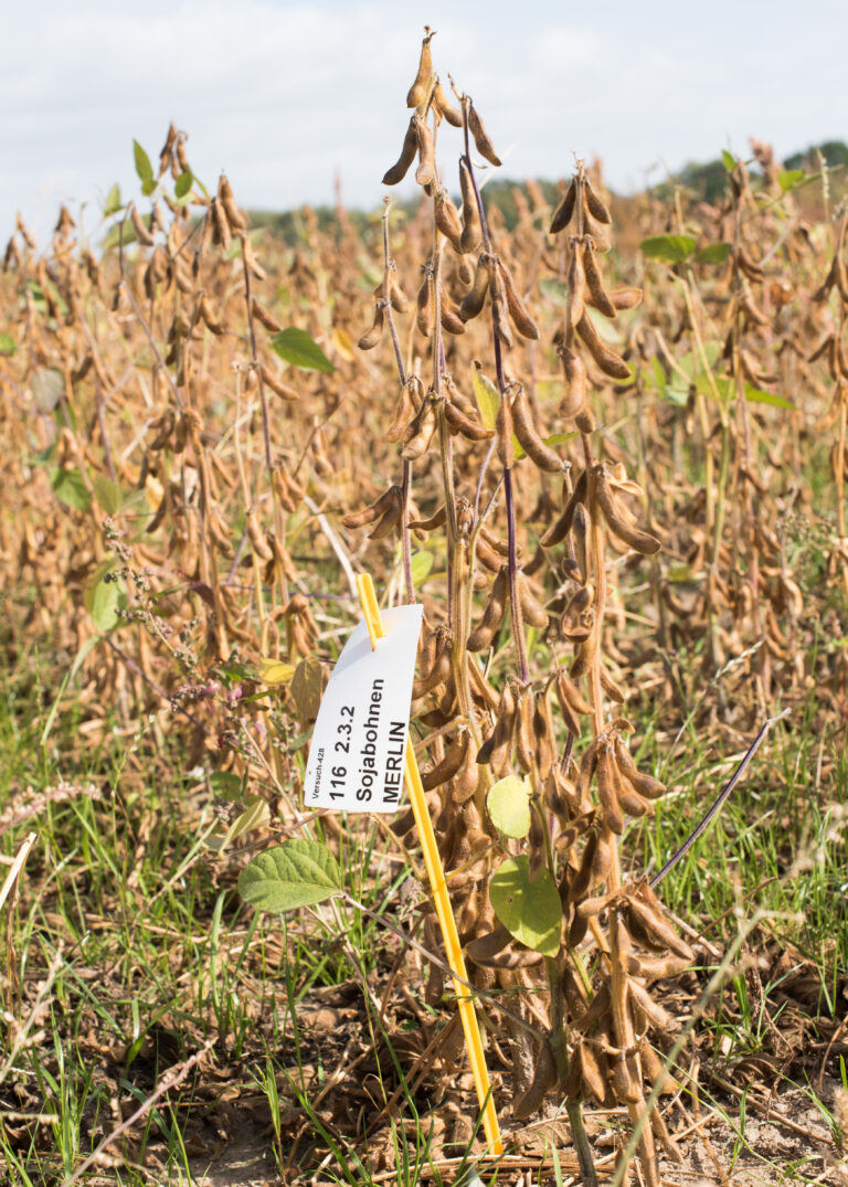 Dr.Moritz_Reckling_Zalf_07-8f42f482