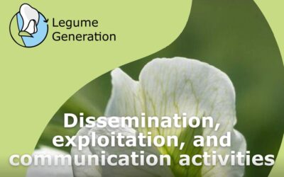 Legume Generation: Summary of the first reporting period