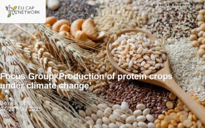 EU CAP Network Focus Group Meeting in Sevilla