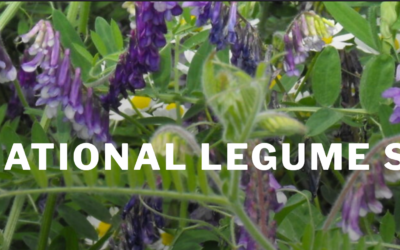 Genetic and molecular basis underlying soybean photoperiod flowering and architecture